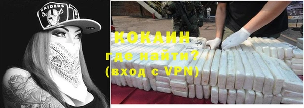 прущие грибы Армянск
