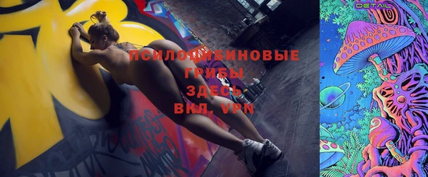 прущие грибы Армянск